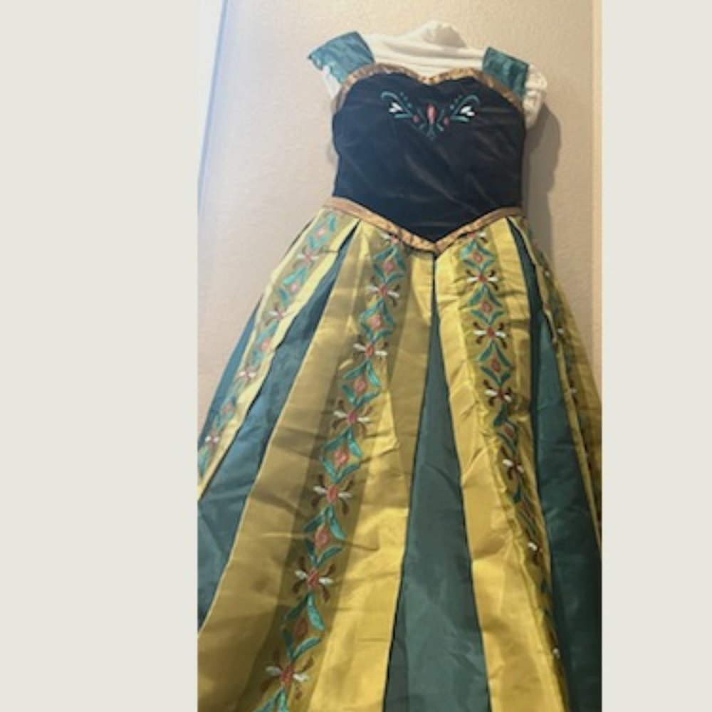 Princess Anna from Frozen